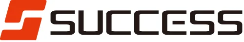 Logo Beauty success